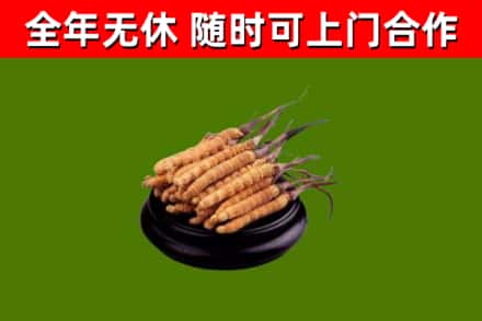 荆门市烟酒回收冬虫夏草.jpg